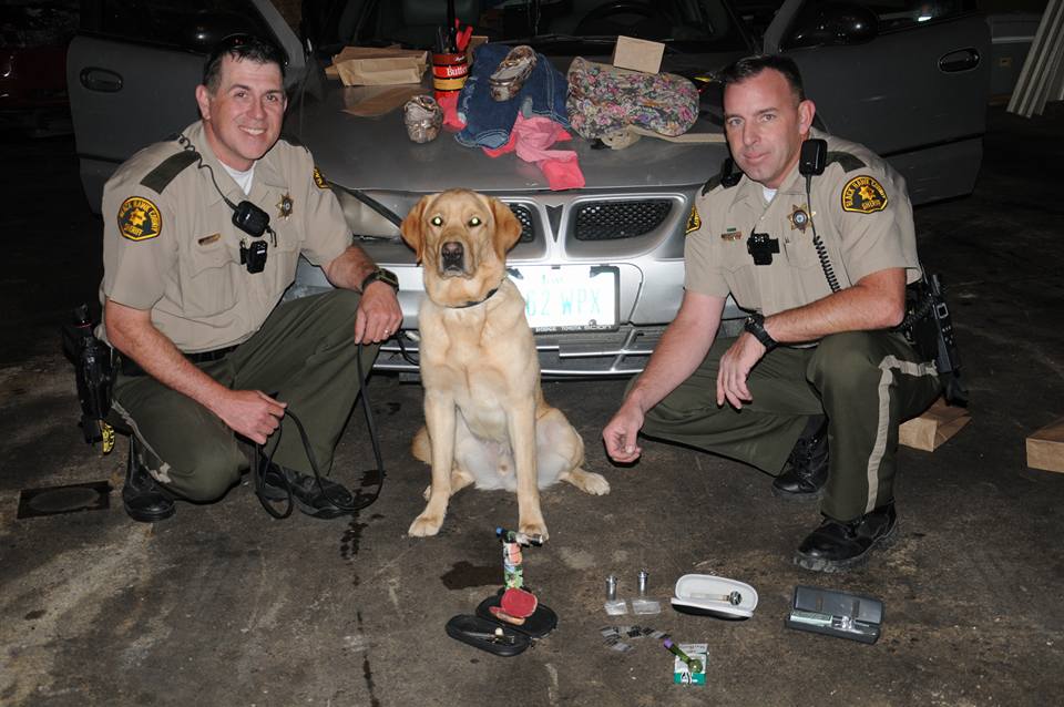K-9 Jarvis posing with Deputy Chase and Deputy Schmidt