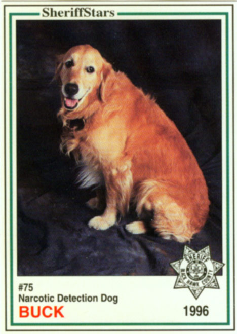 Image of Buck, a Narcotic Detection Dog