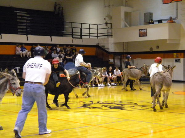 Donkey basketball game going on