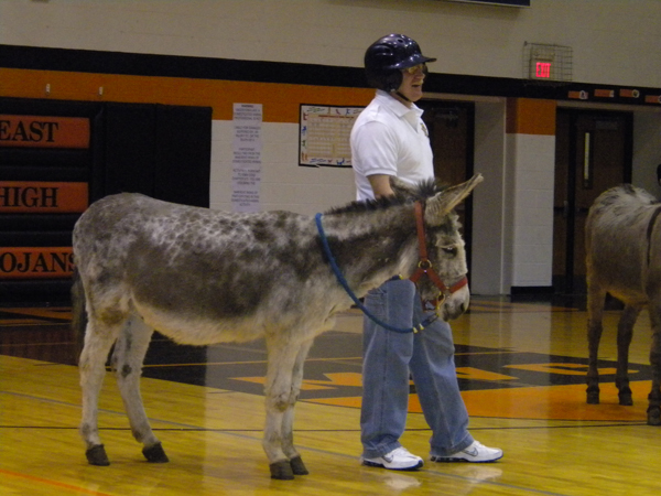 Sheriff walking next to donkey