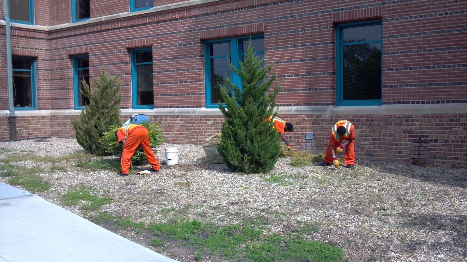 Inmates working outside to get weeds cleaned up on the courthouse landscaping