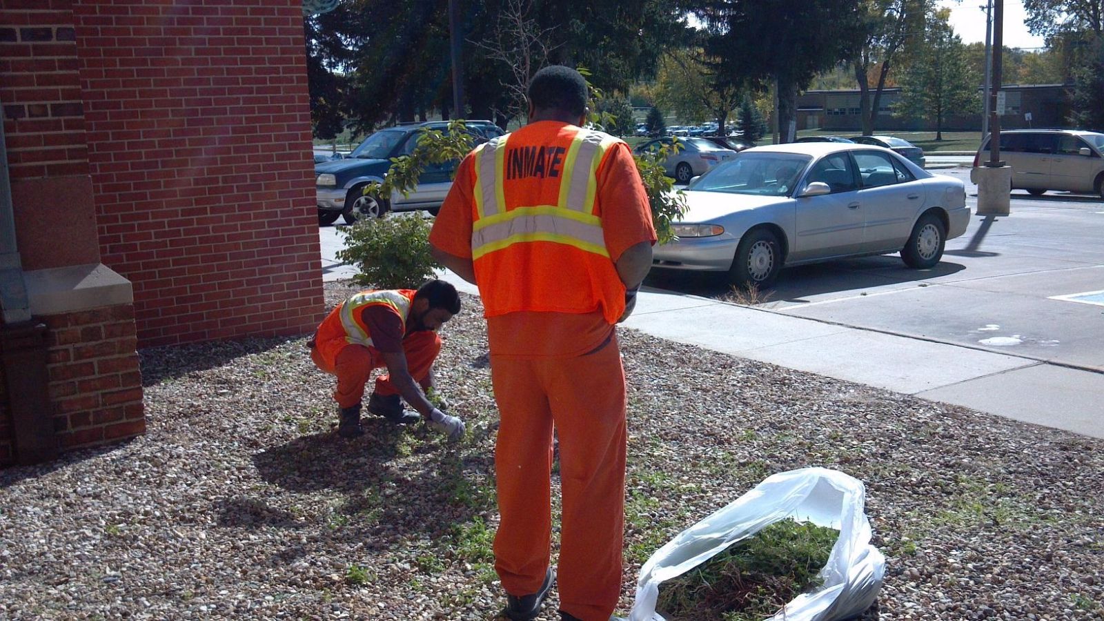 Inmates cleaning up and collecting weeds on courthouse lawn