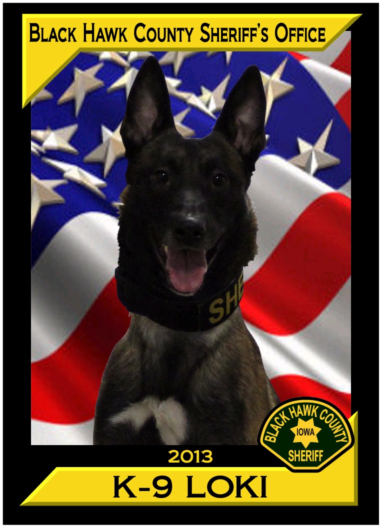 Image of K-9 Loki