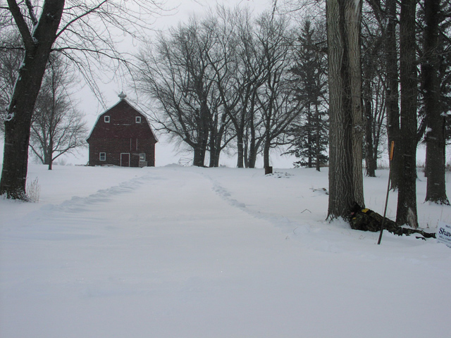 SWAT team in the snow